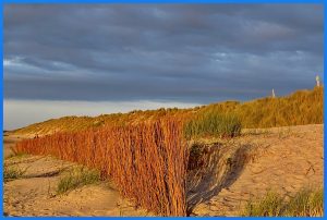 Dünen und Strand