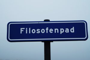 IMGP7971